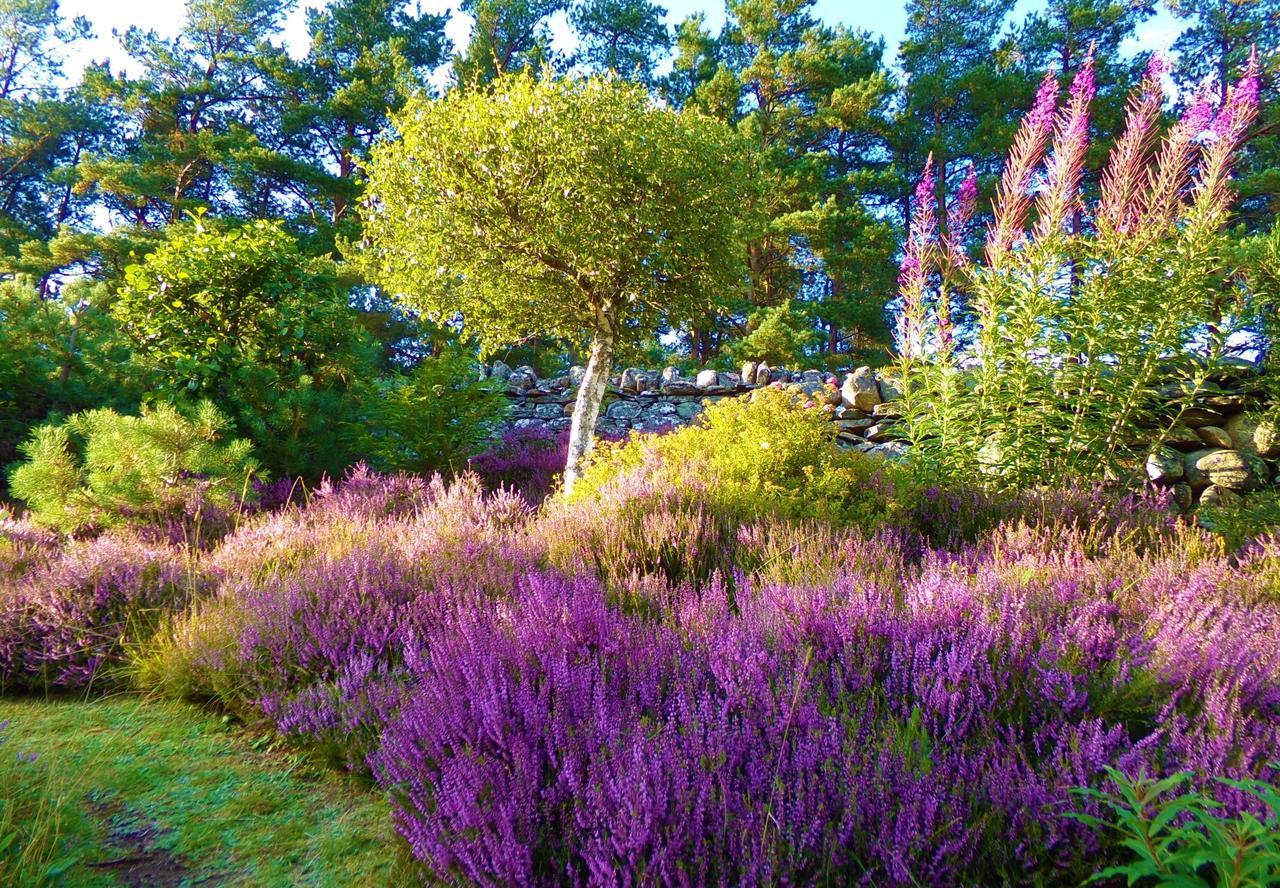 Serendipity Bed And Breakfast Dalchreichart Bagian luar foto